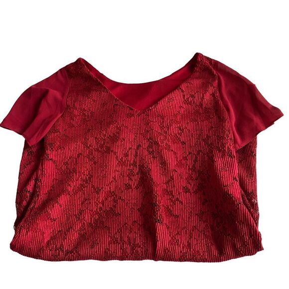 Taylor RED LACE DRESS Size 6 - Picture 3 of 7